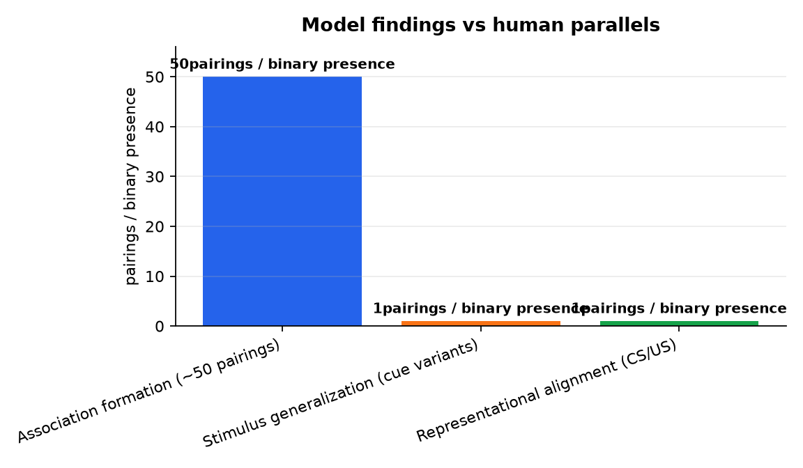 Graphique : Model findings vs human parallels