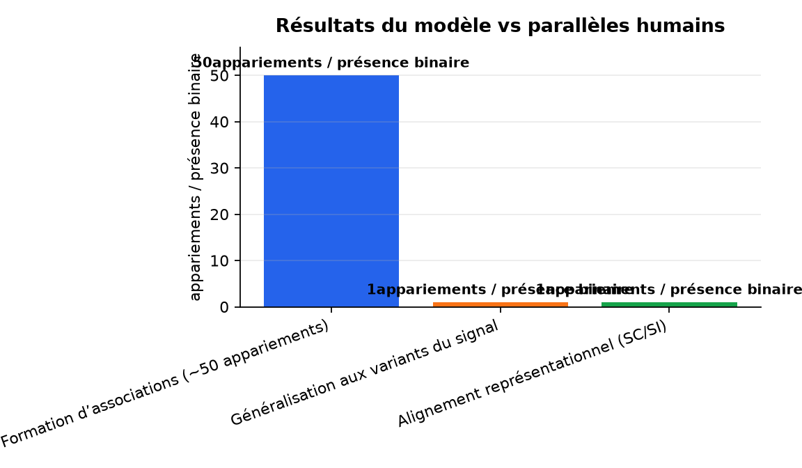 Graphique : Résultats du modèle vs parallèles humains